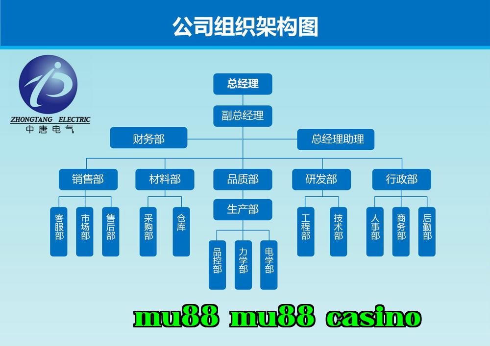 Biểu đồ cấu trúc tổ chức 1.jpg